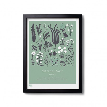 Affiche BOLD&NOBLE British Plant Green 30X40cm