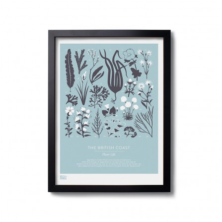 Affiche BOLD&NOBLE British Plant Blue 30X40cm